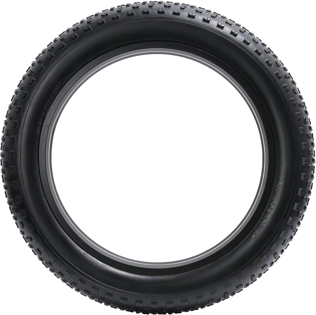 20" Fat Bike Tires 20X4.0/100-406 for Mountain Bicycles - 2 Pack