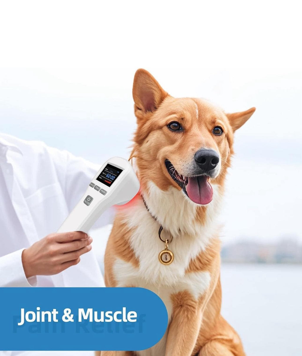 Portable Red Light Therapy Device for Pets  Infrared Pain Relief