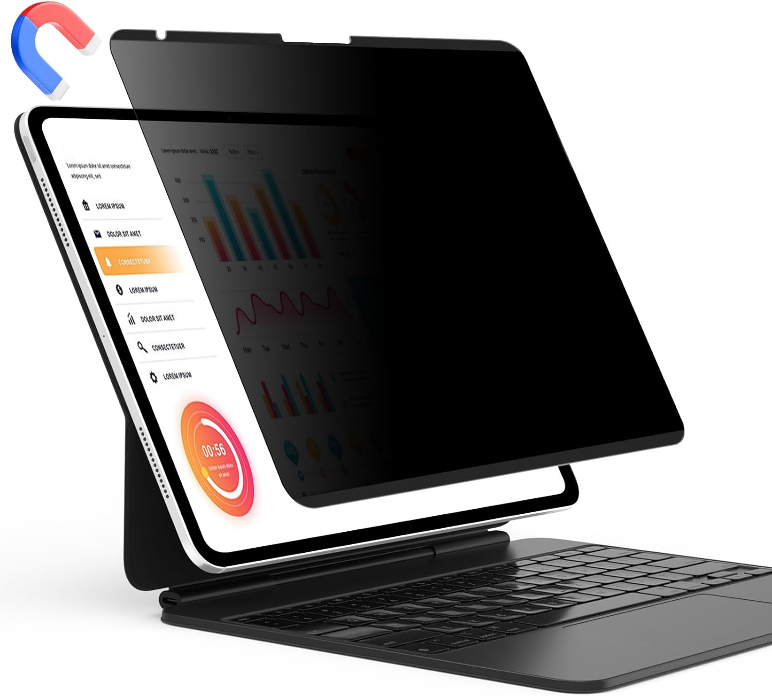 Magnetic Privacy Screen for iPad A16 2025/10th Gen, Anti-Glare Filter