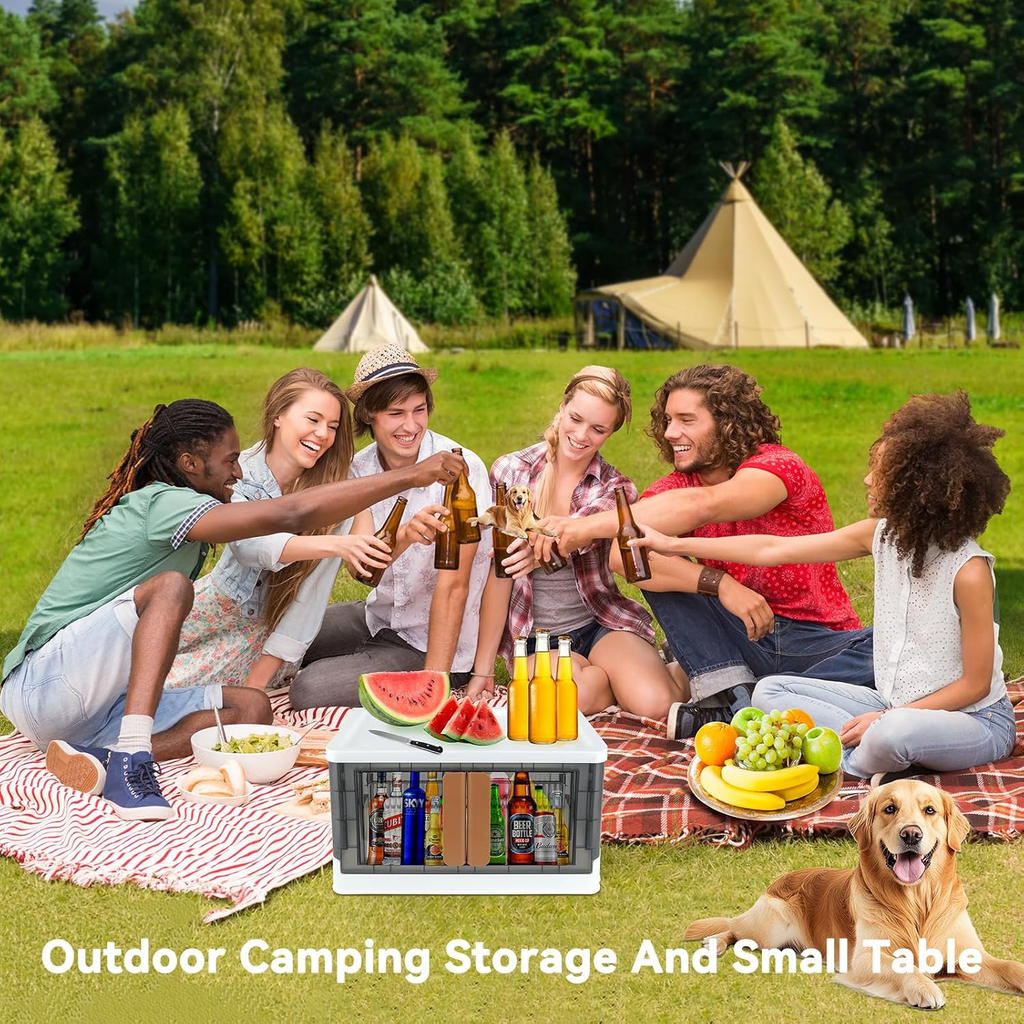 8.4 Gallon Storage Bin with Lids, Locking Cabinet, Foldable Plastic Organizer