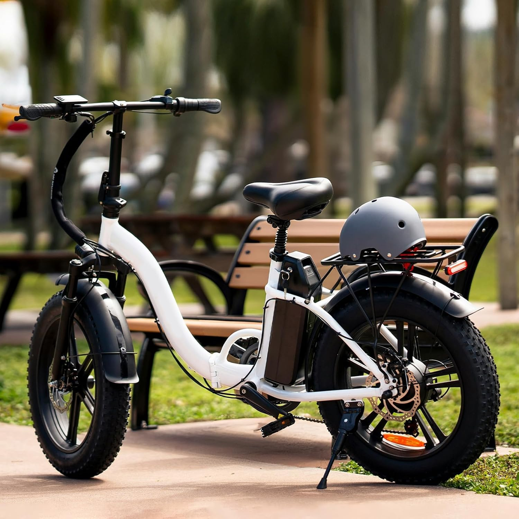 20" Fat Bike Tires 20X4.0/100-406 for Mountain Bicycles - 2 Pack