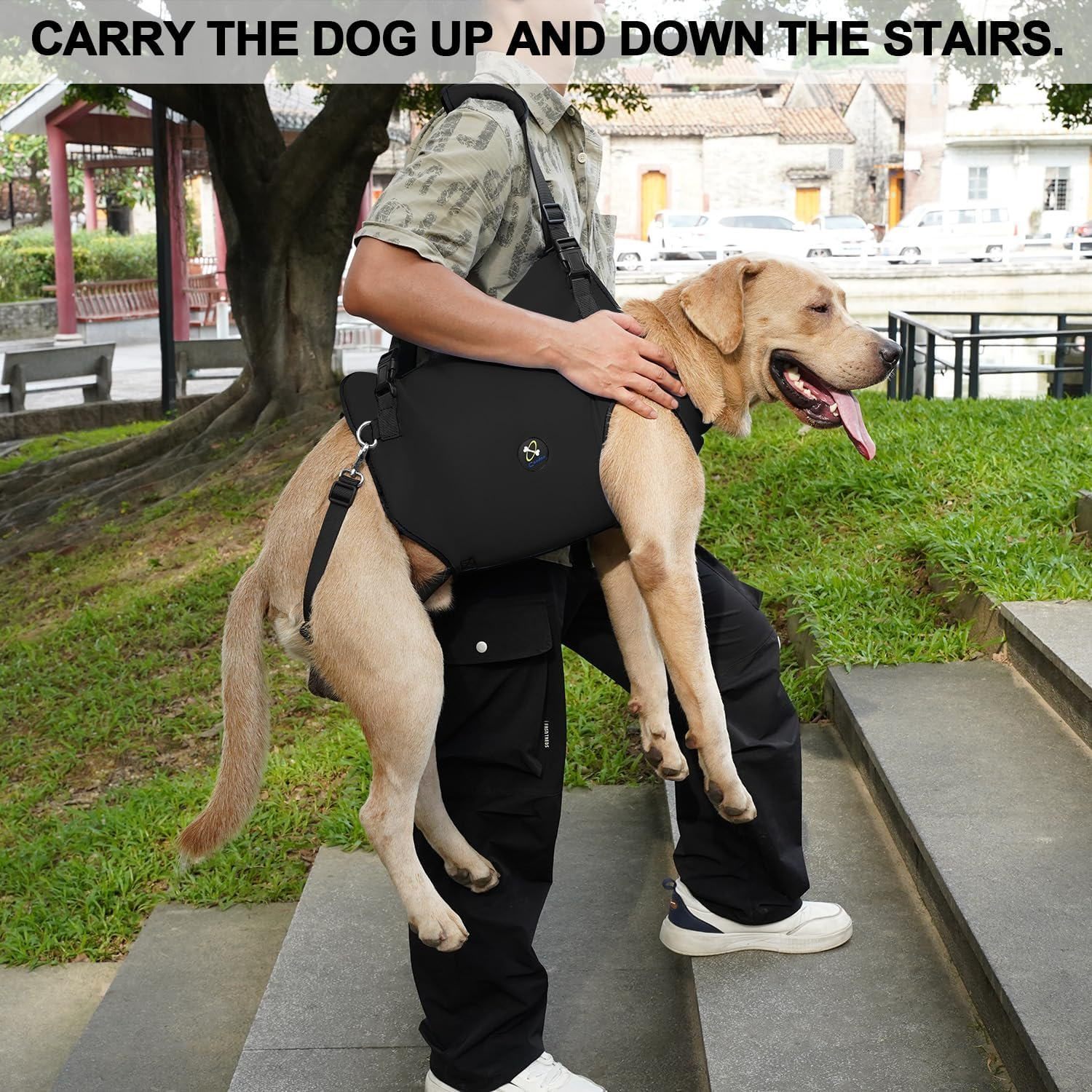 Adjustable Dog Sling Harness for Support & Rehabilitation (Black, XL)